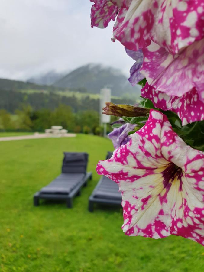 Vive Diem Haus im Ennstal Dış mekan fotoğraf